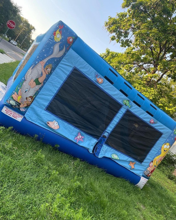13x13 Dolphin 3-in-1